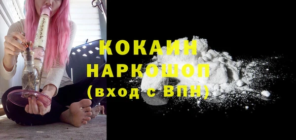 ГАЛЛЮЦИНОГЕННЫЕ ГРИБЫ Белокуриха