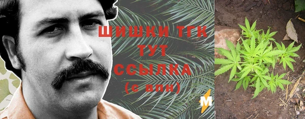 ГАЛЛЮЦИНОГЕННЫЕ ГРИБЫ Белокуриха